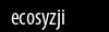 Biztonsági kód